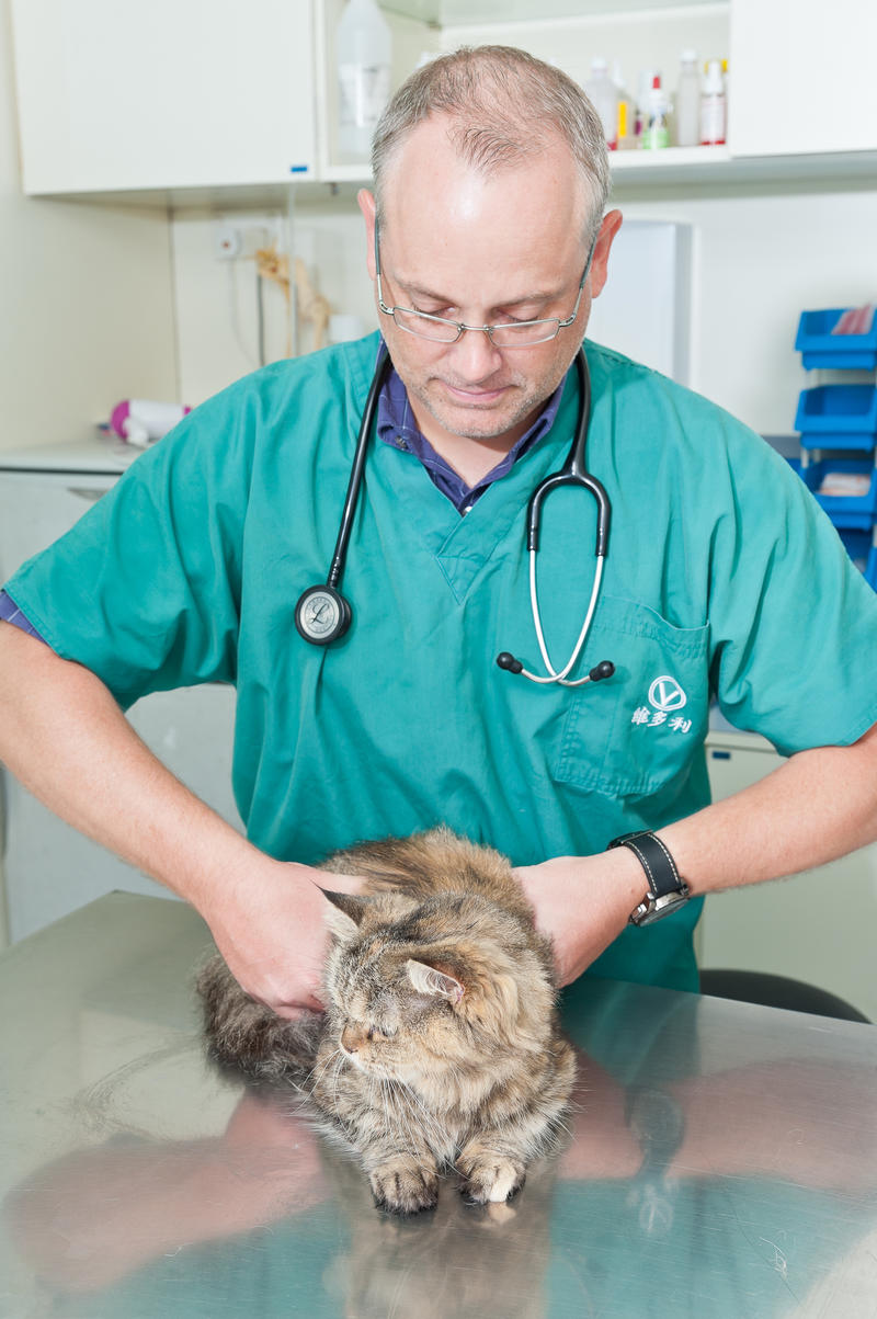 Is the pet safe to carry?