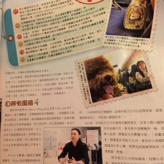宠物托运